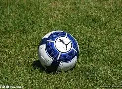 大战,世界赛淘汰,表现定胜负,大发彩票,大发彩票官方网站,大发彩票APP,实时开奖,知识竞猜