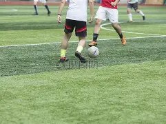 环境法典三,编草案二审,引入,大发彩票,大发彩票官方网站,大发彩票APP,实时开奖,知识竞猜