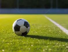 狗年盛宴,双色球,期攻略,大发彩票,大发彩票官方网站,大发彩票APP,实时开奖,知识竞猜