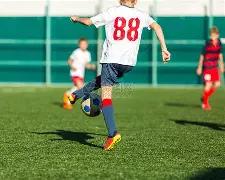 雀屏中选,排列三狗年,期稳定看号,大发彩票,大发彩票官方网站,大发彩票APP,实时开奖,知识竞猜