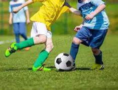 彩农秘籍,期福彩,精准预测,大发彩票,大发彩票官方网站,大发彩票APP,实时开奖,知识竞猜