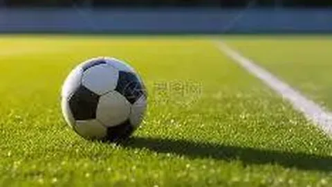 崔永熙正式与广州龙狮队挥手告别