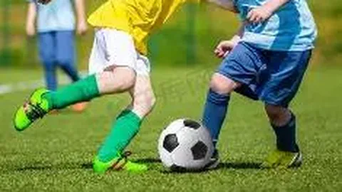 【揭晓】第015期大乐透独家预测：三肖必中，揭秘金码组合02、04、08！