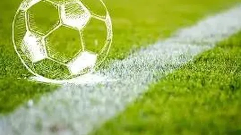 【揭秘】伟伦大乐透013期必中秘码：前五精选胆码大公开！01、06、10、12、32不容错过！