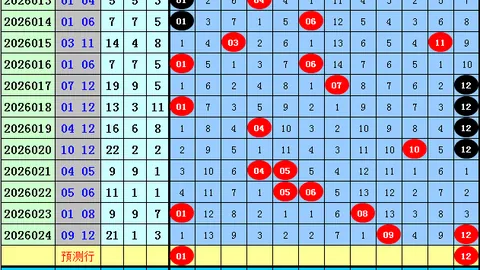 排列五第2026048期专家预测：小天后杀码分析